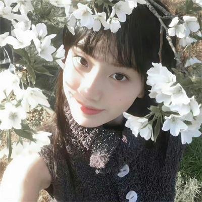 狮子与我